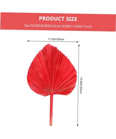 Alipis Simulated Cattail Fan Wedding Layout Palm Leaf Dried Palm Spears Home D cor Vase Art Ornament Faux Plant Italian Ruscus Woven Hand Held Fan Decor Fans Palm Leaves Hamster Monstera Red 50x28cm - Buy Online on SooperMarket.com