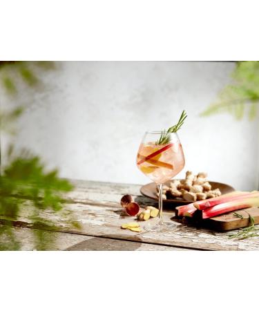 Belvoir Farm Non-Alcoholic Rhubarb & Ginger G&T - Real Rhubarb Juices & Natural Ginger Extract No Artificial Sweeteners Preservatives or Flavourings Vegan 6 x 750 ml - Buy Online on SooperMarket.com