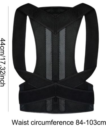 Oshhni Back Brace Lumbar Support Back Correction Belt for Family Adults Teens Women Men L - Buy Online on SooperMarket.com