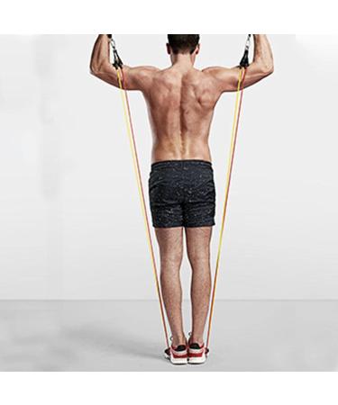 Youding Stretch Bands - Comfortable Elastic Exercise Rope for Strength Training & Muscle Development - Buy Online on SooperMarket.com