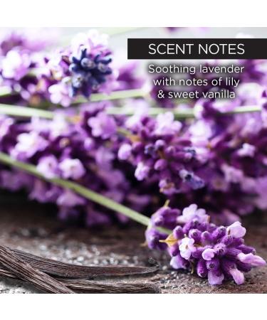 Whish Beauty Lavender Exfoliating Sugar Scrub - Gentle Body Scrub for Women - Paraben & Sulfate Free - Brown Sugar with Raspberry Aloe & Shea Butter - 8 oz - International Shipping Available - Buy Online on SooperMarket.com