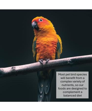 *NEW* 1.5Kg FRUIT MIXED PARROT FOOD XLW - Buy Online on SooperMarket.com