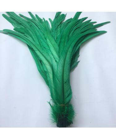 Shekyeon 16-18inch 40-45cm Rooster Coque Tail Feather for Costume Decoration Pack of 20 (Dark Green)