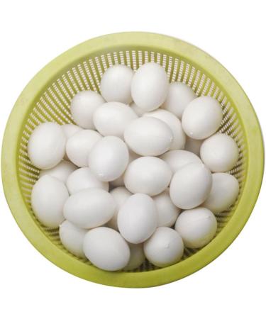 BCOATH 60 Pcs Water Injection Fake Pigeon Eggs White Fake Eggs Parrot Eggs Compact Eggs Breeding Props Craft Eggs for Painting Artificial Eggs Toy Eggs Supplies Meat Pigeon Plastic Whitex2pcs 2.9X4.1CMx2pcs - Buy Online on SooperMarket.com