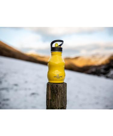 Silver 12 oz Kids Water Bottle with Straw & Handle - Eco Friendly Stainless Steel Cup - Leak Proof Lid - Cute and Easy Sip Design - Buy Online on SooperMarket.com