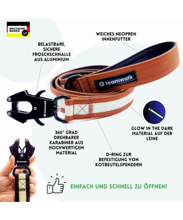 Teamwalk Premium Dog Leash - Soft Upholstery Robust Buckle & Reflective Stripes - Rust Red (130cm) - International Shipping Available - Buy Online on SooperMarket.com