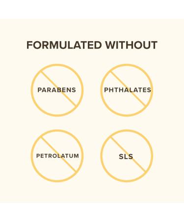Burt's Bees 100% Natural Lip Balm with Beeswax & Turmeric - Soothing Relief | International Shipping - Buy Online on SooperMarket.com