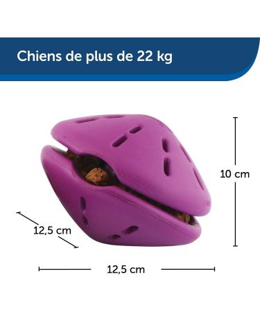 PetSafe Twist-n-Treat Dog Toy | Fillable Treat Toy | Customizable Dispensing & Dishwasher Safe | Purple L - Shop Now for International Shipping! - Buy Online on SooperMarket.com