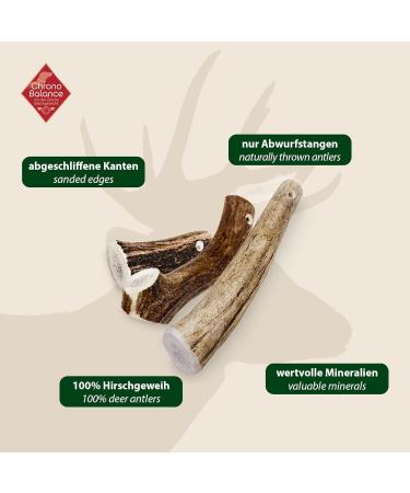 Chronobalance XS (5 Set) 100% Deer Antler Dog Toys & Treats | Additive-Free Chewing Bones | Whole Cake Stuff for Dogs - Buy Online on SooperMarket.com