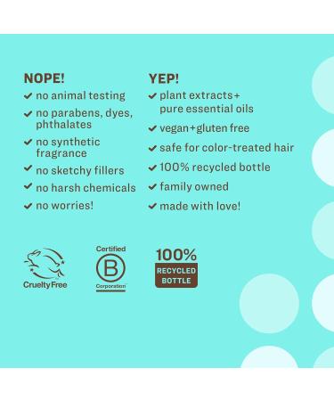Everyone Hair Care Power Rinse - Meyer Peppermint & Tea Tree Scalp Cleanser | 8 fl oz Sulfate & Paraben Free Detox Treatment for Build Up - Buy Online on SooperMarket.com