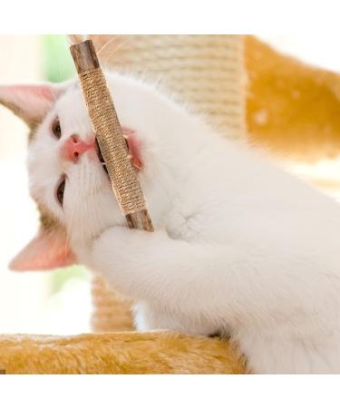Dacitiery Cat Silvervine Chew Sticks Cat Toys Natural Cat Teeth Nip Cleaning Teeth Chew Catnip Toys for Indoor Cat Teeth Cleaning Kitten Teething and Stress Release (3 Style 6 Pack) - Buy Online on SooperMarket.com