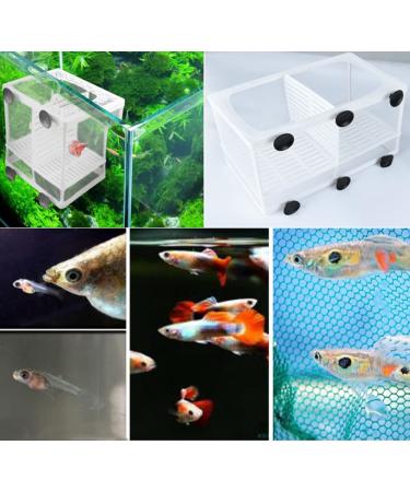 2 Pcs Nylon Mesh Aquarium Fish Fry Hatchery Isolation Box with Board - Buy Online on SooperMarket.com