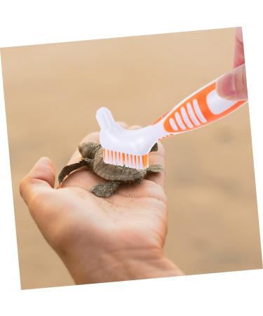 Beaupretty Turtle Shell Cleaning Brush grip cleaning brush turtle cleaning brush aquatic animal cleaning brush hamster cleaning brush toothbrush cleaner tool reptile care plastic water turtle 16x5cm As Shown 2 - Buy Online on SooperMarket.com