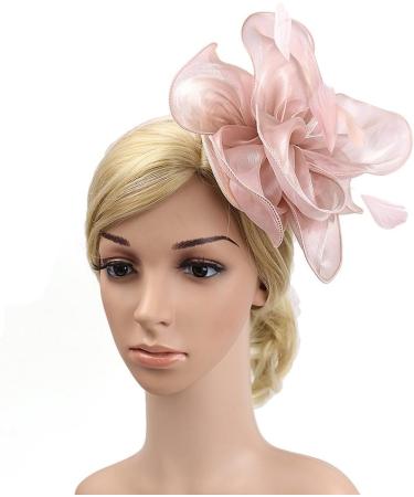 FRCOLOR Fascinator Feather Headband / Clip Party Wedding Royal Ascot Races Hair Accessories Headdress (Nude Pink) - Buy Online on SooperMarket.com