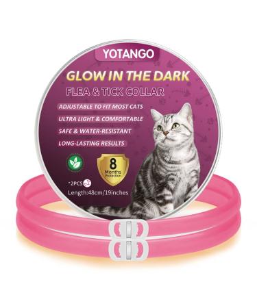YOTANGO Cat Collar Repellent 2 Pack Cat Collar-Built-in Pant-Based Formula Strong Repellency Slow Release Glow in the Dark Pleasant Aroma Waterproof (Pink)