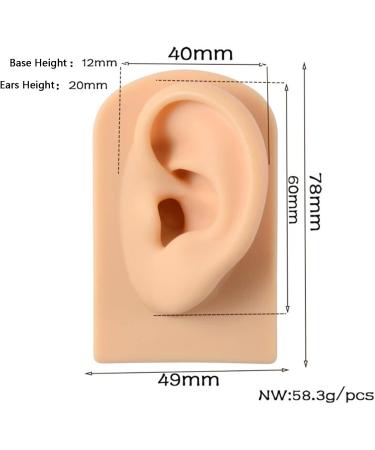 3 Pc Silicone Ear Model - Simulation Artificial Ear Model - for Hearing Aids Wearing & Ear Canal Products Display Right - Buy Online on SooperMarket.com