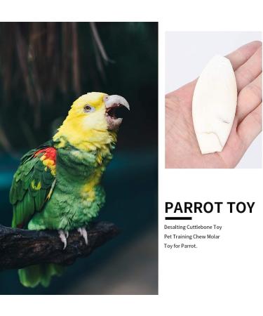 5pcs Small Cuttlefish Bone for Parrots | Natural Calcium Chew Toy for Birds - Buy Online on SooperMarket.com