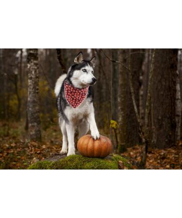 Lionet Paws Halloween Dog Bandana - Triangular Scarf for Small Medium & Large Dogs - Pumpkin Design (Pack of 1) - Buy Online on SooperMarket.com