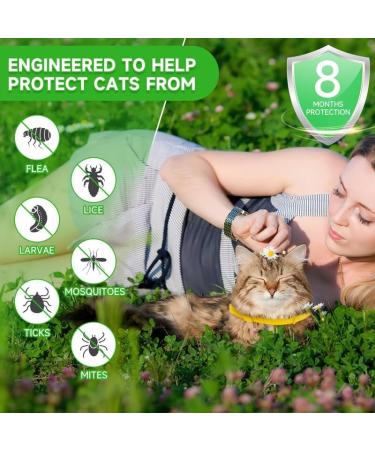 Cat Repellent Treatment Adjustable Cat Repellent Collars Natural Protection Repellent Collar for Cats Water Resistant Repellent Collar for Cats Small-Medium-Large Yellow 2pack - Buy Online on SooperMarket.com