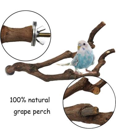 PINVNBY Natural Parrot Perch Stand Wild Grape Stick Toy for Small Birds - 2PCS - Buy Online on SooperMarket.com
