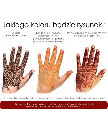 Buy Golecha Kaveri Chhela's 100% Natural Henna Cones | Red-Brown No PPD - 6pcs for International Shipping - Buy Online on SooperMarket.com