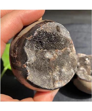 FUERLI Natural Stones and Minerals Large Beautiful Dragon septarian geode Egg Around 200-1000g Home Decoration Very (Size : 400-500g) HOMEZHOU (Size : 500-600g) - Buy Online on SooperMarket.com