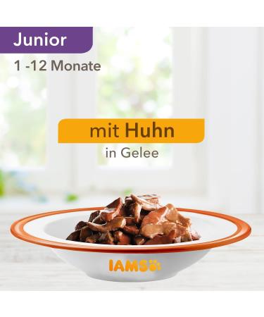 IAMS DELCHTS Kitten Wet Food - High-Quality Chicken in Sauce Multipack (24 x 85g) for Juniors 1-12 Months - International Shipping Available - Buy Online on SooperMarket.com