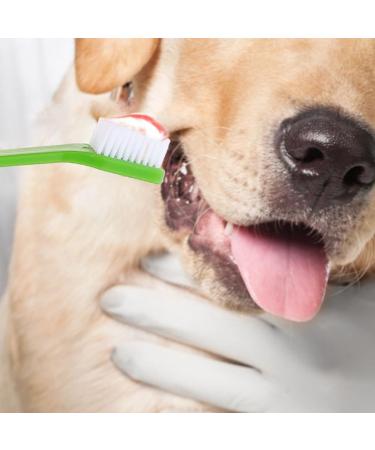 ORFOFE 36 Pcs Double Head Dog Toothbrush Pet Cleaning Toothbrush Dog Toothbrush Toothpaste Pet Stuff Pp - Buy Online on SooperMarket.com