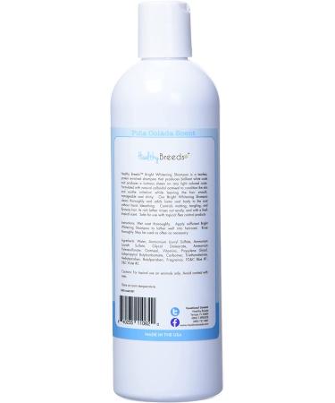 Healthy Breeds Bright Whitening Shampoo for Maltese - 12 oz - pH Balanced, Color Enhancing, Nourishing Formula - Buy Online on SooperMarket.com