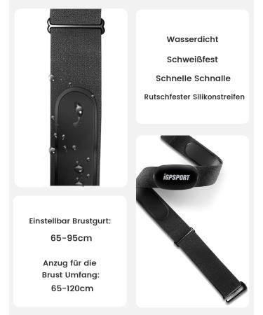 IGPSport HR40 Heart Rate Monitor - Bluetooth & Ant+ Chest Strap & Bracelet IP67 Waterproof Accurate Heart Rate Tracking for Cycling & Fitness - Buy Online on SooperMarket.com
