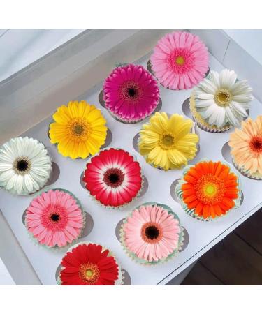 Pre-Cut Beautiful Gerbera Daisy A Edible Wafer Paper Flowers Cupcake Toppers Cake Decorations Birthday Party (12) - Buy Online on SooperMarket.com