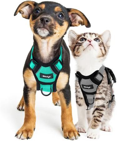 Breakproof Cat Leash Set & Adjustable Soft Kitten Vest | Reflective Stripes | Gray Small Cat Dishes | Ideal for Small Kittens - Buy Online on SooperMarket.com