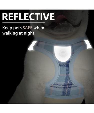PUPTECK Dog Harness Small Dog with Collar and Lead Set Step-in No Pull Puppy Cat Harnesses for Daily Walking Blue M M: Chest girth: 40.6-45.7cm Collar: 30-40cm Blue - Buy Online on SooperMarket.com