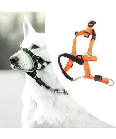 Dog Handlebars with Seat Belt - XL Orange Pet Halter for Safe Outdoor Walking | Prevent Pulling - Buy Online on SooperMarket.com