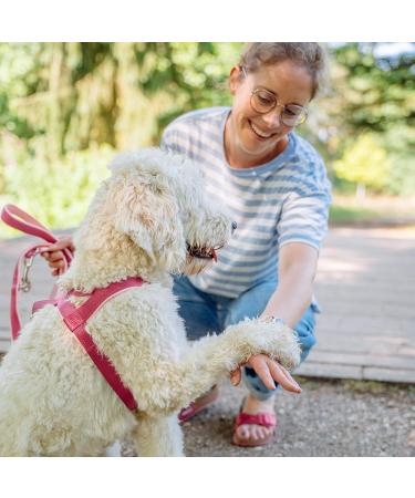 Nobby Norwegian Classic Preno Harness - Raspberry/Pink Size L (60-76 cm) | Durable & Stylish Dog Harness for International Shipping - Buy Online on SooperMarket.com