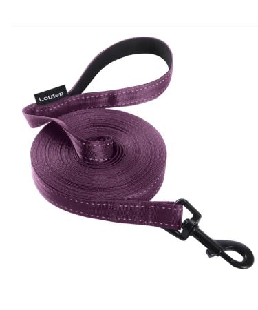 Loutep Reflecting Training Lines for Dogs 3 m 5 m 10 m 15 m 20 m 25 m 30 m strong nylons rope extra long leash dog leash with padded handle for large medium -sized and small 15m reflective violet