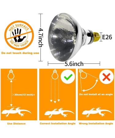 LUCKY HERP 100W Reptile Heat Lamp Bulb Full Spectrum UVA UVB Light Bulb High Intensity Self-Ballasted Reptile Heat Basking Spot Bulb Sun Lamp for Bearded Dragon Lizard Turtle(Clear) 100W Clear - Buy Online on SooperMarket.com
