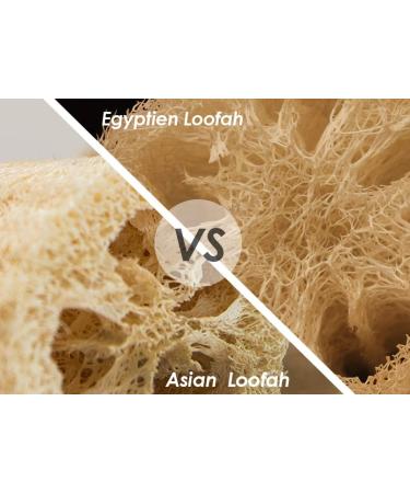 Luxurious Egyptian Organic Loofah Bath Sponge - 100% Natural SPA Beauty Scrubber - Buy Online on SooperMarket.com