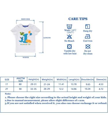 AMZTM 1st Boy Dinosaur Birthday Shirt for Toddler Baby - First Birthday Outfit - Size 90 White - Buy Online on SooperMarket.com