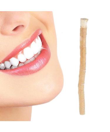 Dranng Stick | Natural Tooth Cleaning Toothbrushes for Humans Effective Traditional Stick from Middle East for Tooth Stain Removal Fresher Breath Healthy Teeth 1 Pcs