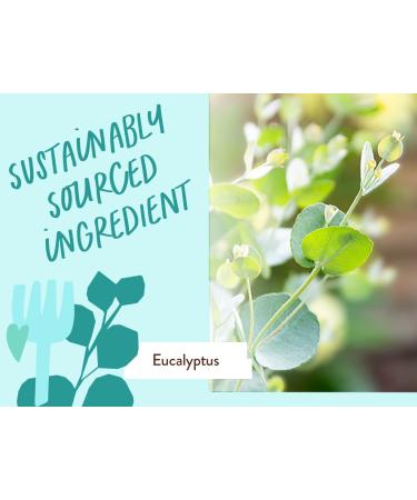 Babo Botanicals Eucalyptus Remedy Shampoo & Wash - Eucalyptus & Rosemary Oils - EWG Verified, Vegan & Cruelty-Free - 16 fl. oz - Buy Online on SooperMarket.com