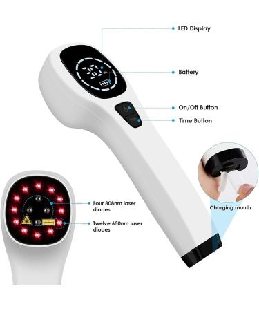 Handheld Physiotherapy Device Pain Relief Device Reverses Skin Aging Reduces Cellulite Accelerates Wound Healing and Symptoms of Pet Degenerative Arthritis Dysplasia Etc. - Buy Online on SooperMarket.com