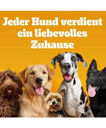 Buy Pedigree Dog Snacks Dentastix for Medium Dogs (10-25kg) - 28 Sticks 720g - Healthy Dental Treats for Your Pet - Buy Online on SooperMarket.com