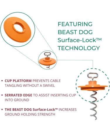 Intellileash Products Intelli-Stayk Dog Tie-Out Stake with Special Surface Lock Technology. Prevents Pulling Out and Bending. (Intelli-Stayk with Beast Dog Surface-Lock) - Buy Online on SooperMarket.com