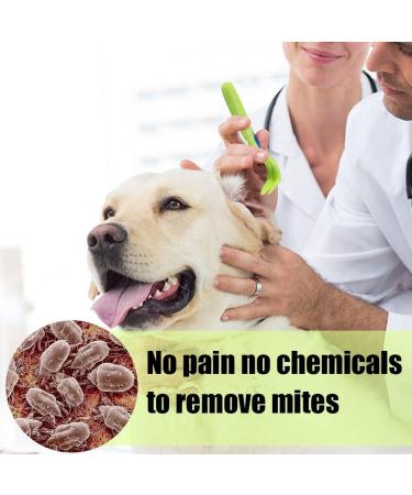 Tranquilique 5 PCS Tick Remover Tick Remover Tools for Dogs Cats Humans Flea Treatment Cat Entire Head & Body Pain-Free Tick Remover for Professional & Home 1.93+2.44+2.5inch 5/Pcs green - Buy Online on SooperMarket.com