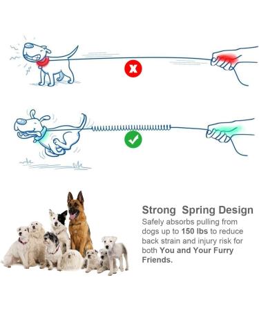 Philorn Super Elastic Freehand Dog Leash 120-170 cm with Belt Pocket - Jogging Leash for Large Dogs Up to 65 kg Reflective & Bungee Design - Perfect for Active Dog Owners - Buy Online on SooperMarket.com