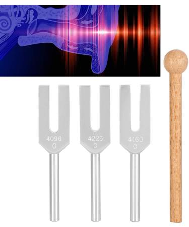 Tuning Fork 440Hz Tuning Fork Non-Deformation Music Tuning Accessories 3Pcs with 2Pcs Storage Bag for Teaching for Physics Experiments - Buy Online on SooperMarket.com