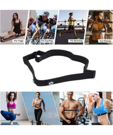 Buy Smallterm Wireless Heart Rate Monitor Chest Strap - Accurate Heart Rate Measurement for Sports - Buy Online on SooperMarket.com