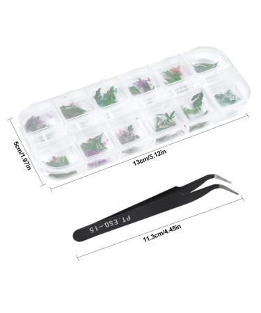 Dokpav 2 Boxes Dried Flowers for Nail Art - 24PC Green Leaves & Real Flower Set with Curved Tweezers | 3D Nail Art Accessories for Stunning Nail Decor - Buy Online on SooperMarket.com