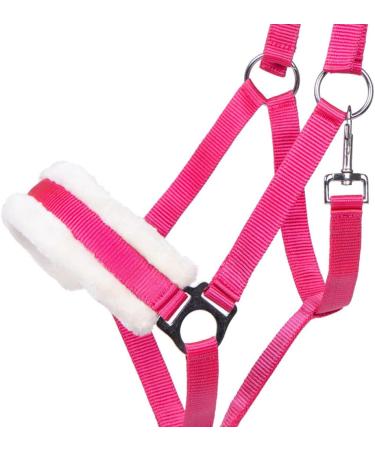 NETPROSHOP Solid Horse Halter - Padded Adjustable for Mini Shetty to Full & Coldblood - Pony Size Pink Color - International Shipping Available - Buy Online on SooperMarket.com